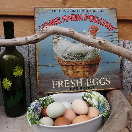 شقة Karoline إيزيناخ